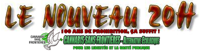 24259.jpg.png